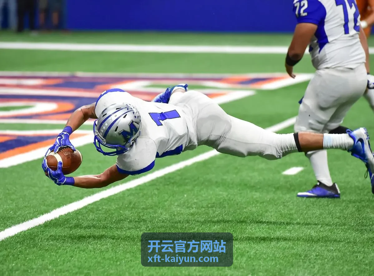 开云内容共创计划封面