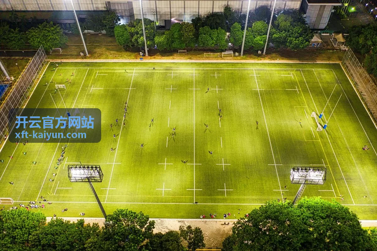开云数据洞察合作伙伴使用场景